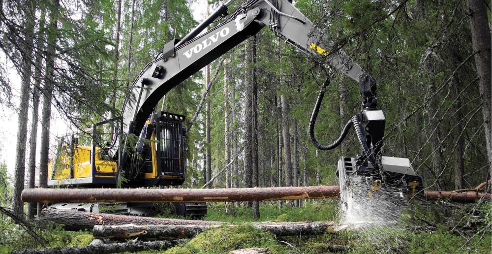 travaux forestiers
