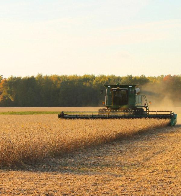 travaux agricoles
