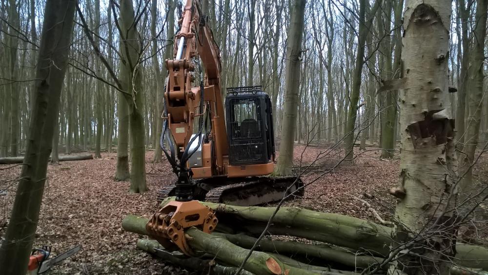 travaux foret